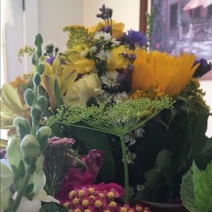 Meet your Posher, Olivia